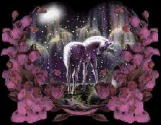 unicorniogi-18